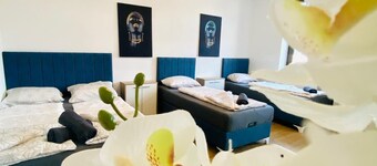 Spacious 4BR for 15 & 15 Min to Danube