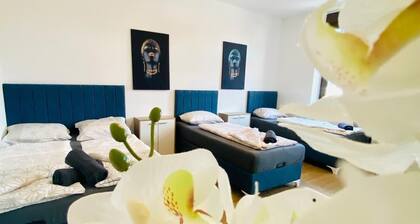 Spacious 4BR for 15 & 15 Min to Danube