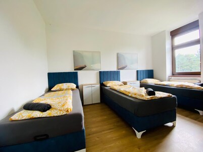 Spacious 4BR for 15 & 15 Min to Danube