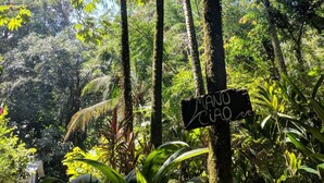 Unclassified image, 3 of 38, button - Caribbean Alchemy Cocles Beach (Cahuita)