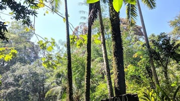 Apartment, 2 Bedrooms, Smoking, Balcony | Property grounds