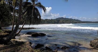 Caribbean Alchemy Cocles Beach