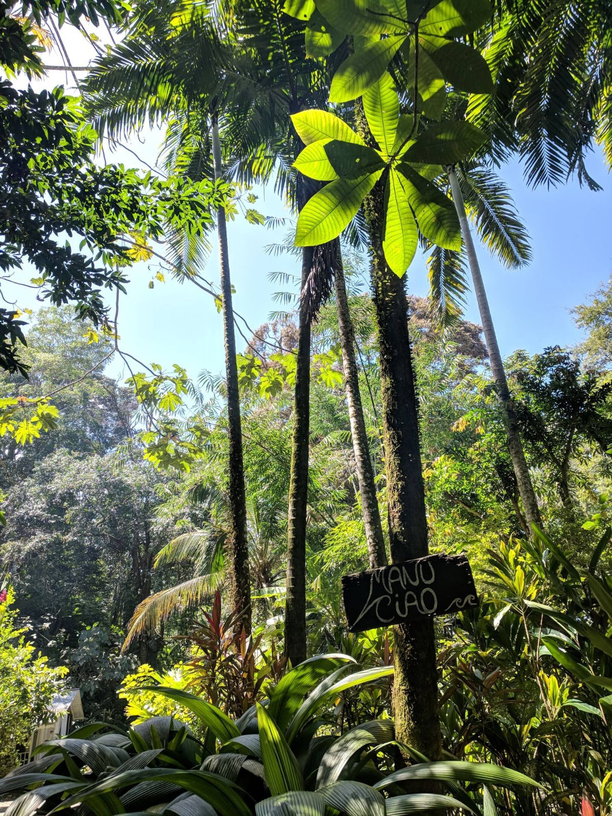 Apartemen, 2 kamar tidur, Boleh Merokok, balkon | Halaman properti