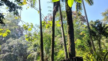 Apartemen, 2 kamar tidur, Boleh Merokok, balkon | Halaman properti