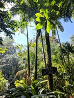 Apartment, 2 Bedrooms, Smoking, Balcony | Property grounds