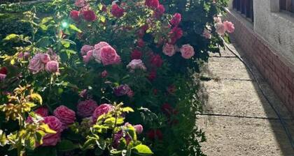 "Escape to Serenity: A Charming Garden Home Stay Retreat"