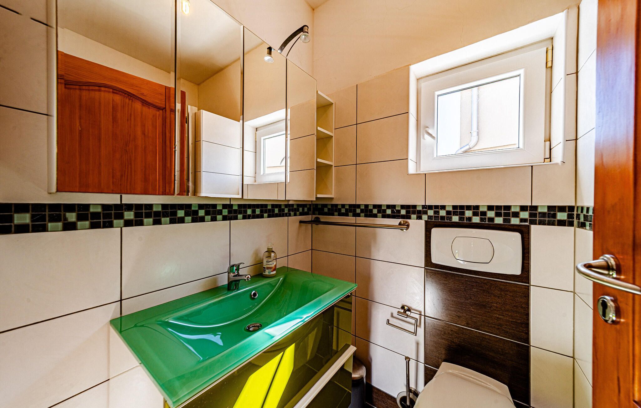 Un baño con un lavabo verde, un espejo, un inodoro y una ducha.
