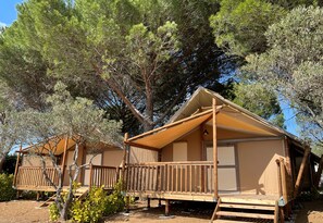 Tenda Comfort | Teras/patio