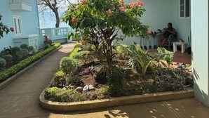 Un espace jardin agrémenté de diverses plantes, avec un chemin menant à un bâtiment doté d’un balcon.