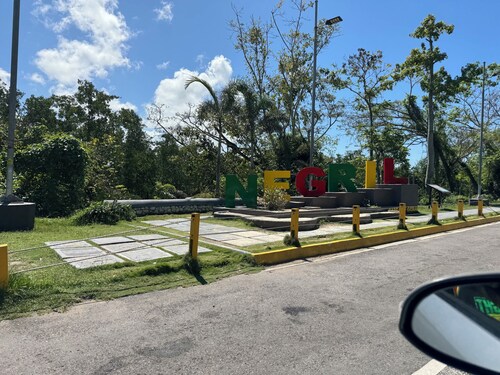 Soothing beachfront fully loaded villa with AC in Negril