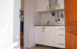 Fridge, stovetop, dishwasher