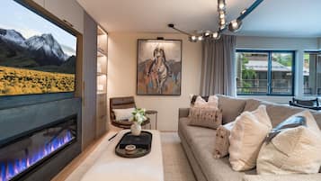 TV, fireplace, stereo, offices