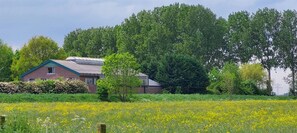 Exterieur