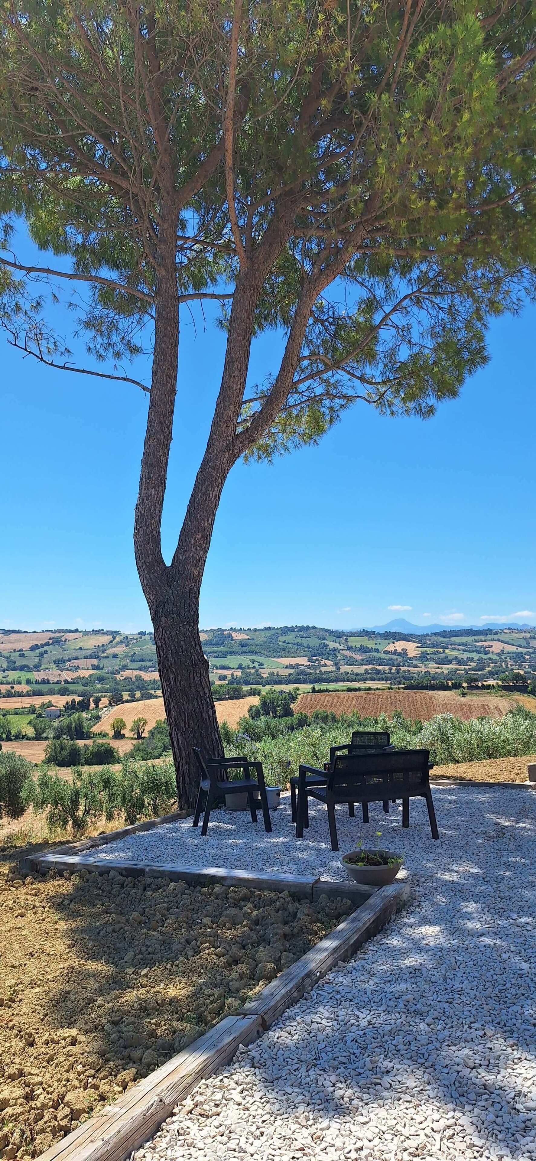 Overnatningsstedets område