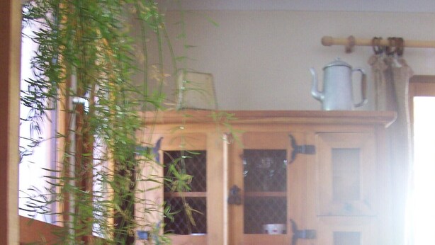 Un mueble de madera con puertas de cristal, estantes con platos y cuencos, y una planta colgante.