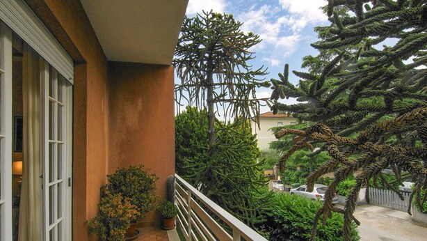 A balcony with potted plants, a railing, and a view of a residential area with trees and parked cars.