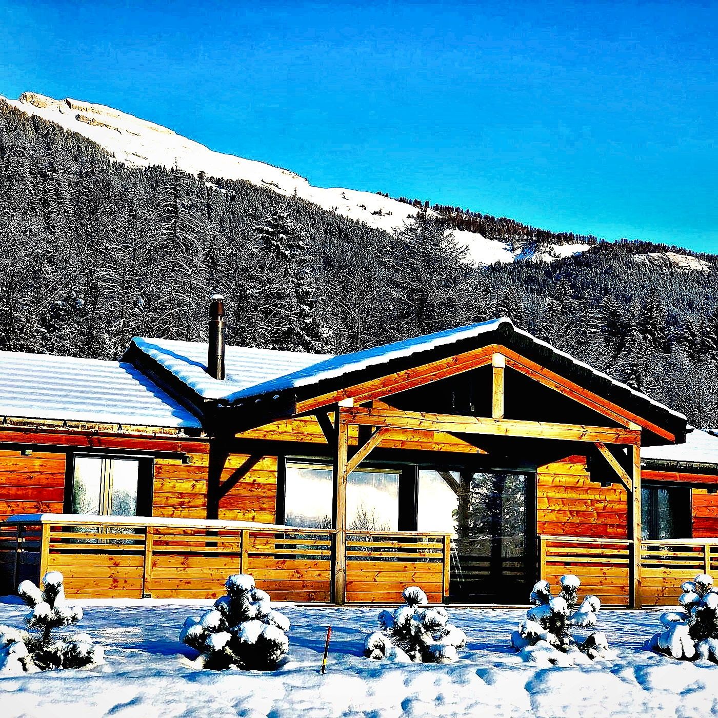 A wooden cabin with a covered porch, surrounded by snow-covered trees and a mountain in the background.