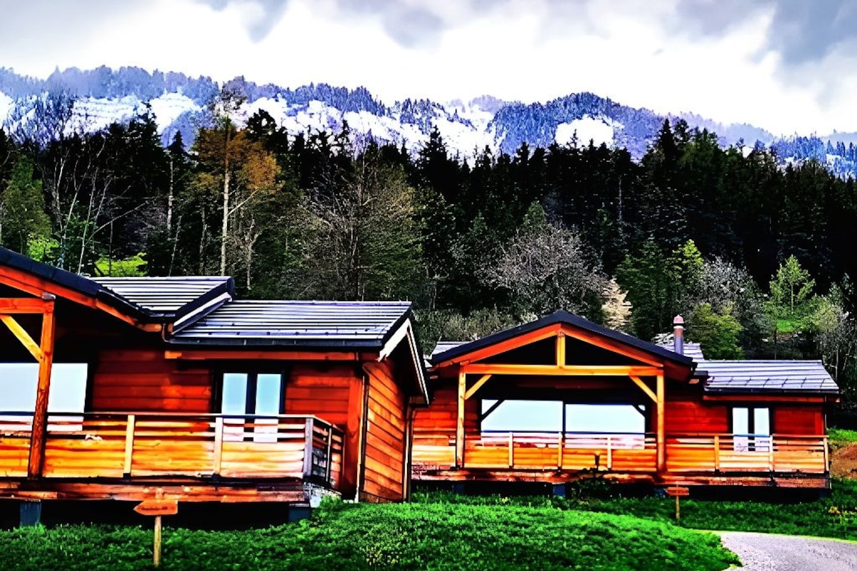 A row of wooden cabins with a mountain backdrop.