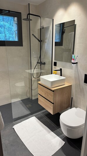 Shower, towels, toilet paper