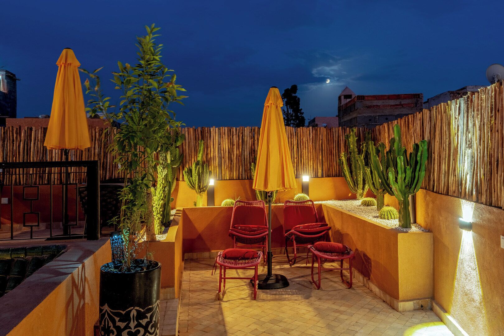 An outdoor patio area with wooden furniture, yellow umbrellas, and cacti.