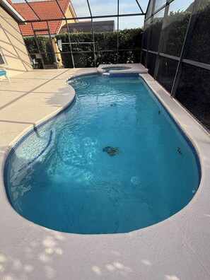 A swimming pool with a tiled edge, surrounded by a glass enclosure, and a concrete deck area. - The Beauty of Solana Near Disney and Universal (Davenport)
