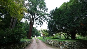 Eksteriør