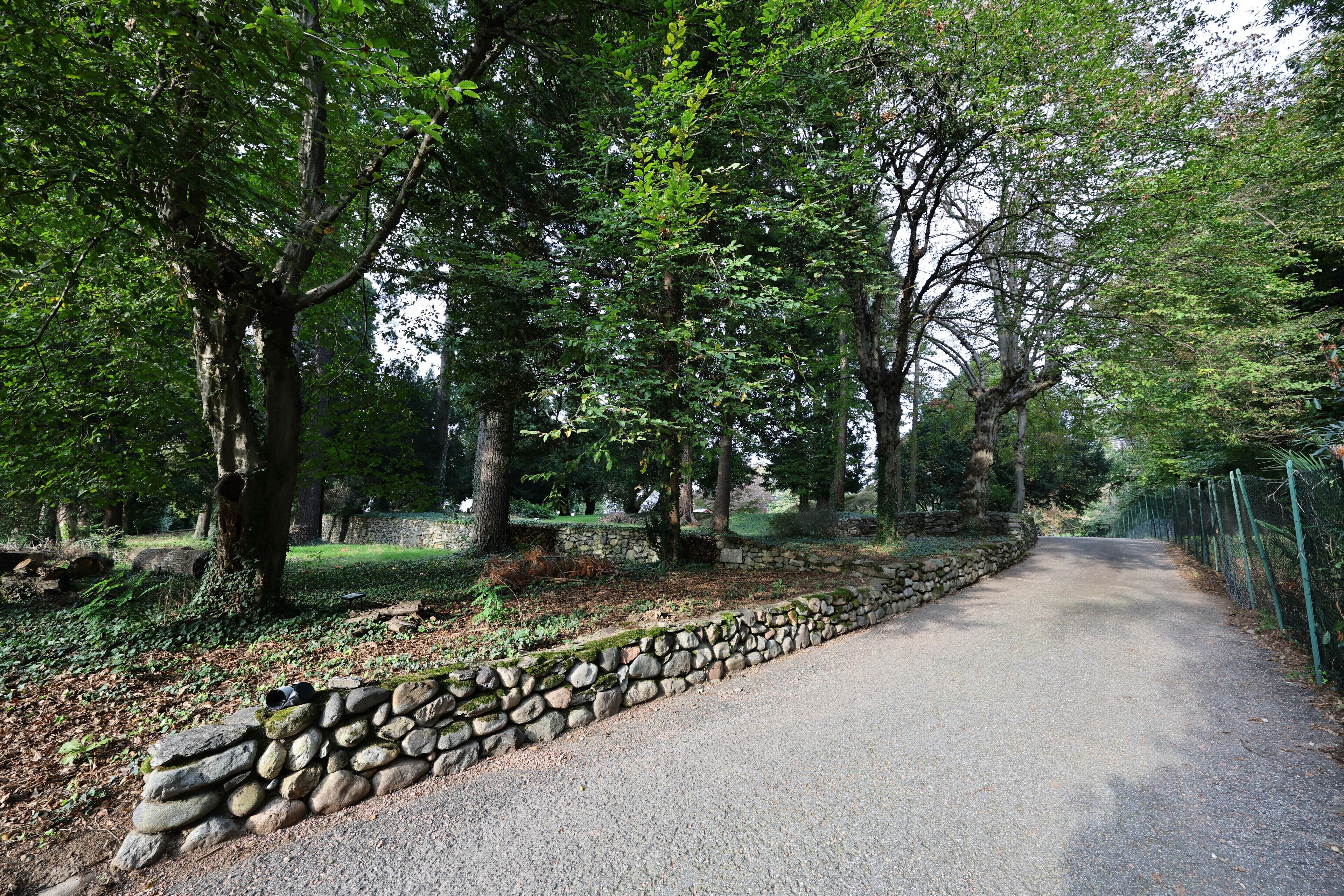 A paved pathway flanked by stone walls and trees, leading into a park area.