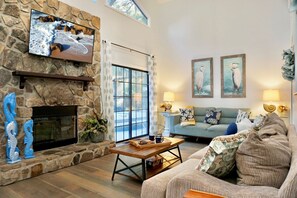 Smart TV, fireplace, books