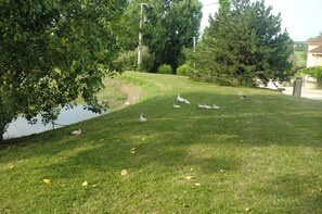 Ulkoalueet