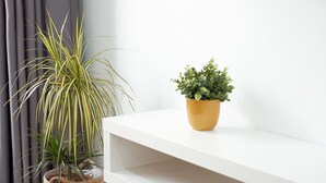 A white shelf with two potted plants, one with long green leaves and another with small green leaves, against a plain wall.