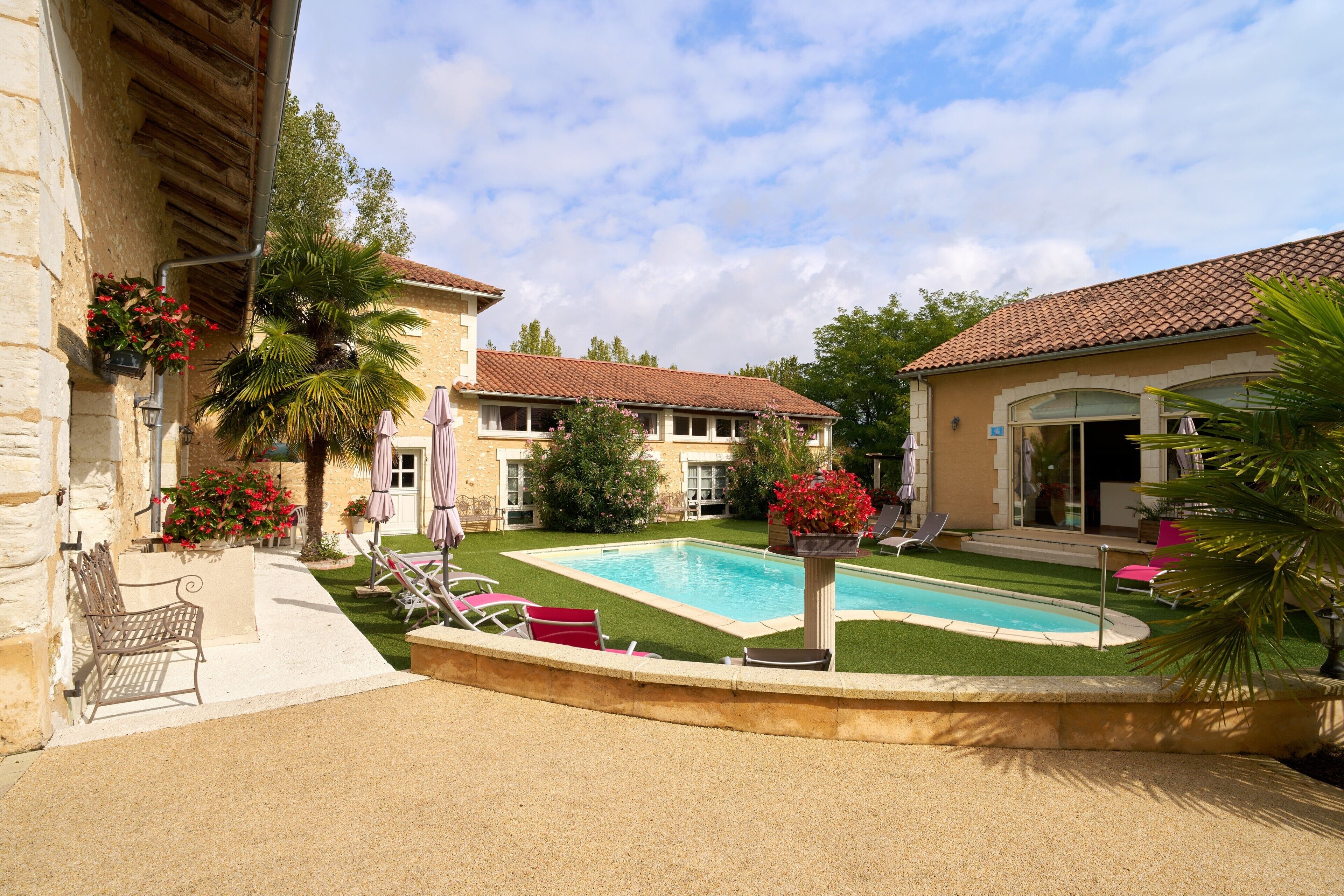 Ein Poolbereich mit rechteckigem Pool, Liegestühlen und einer Palme.