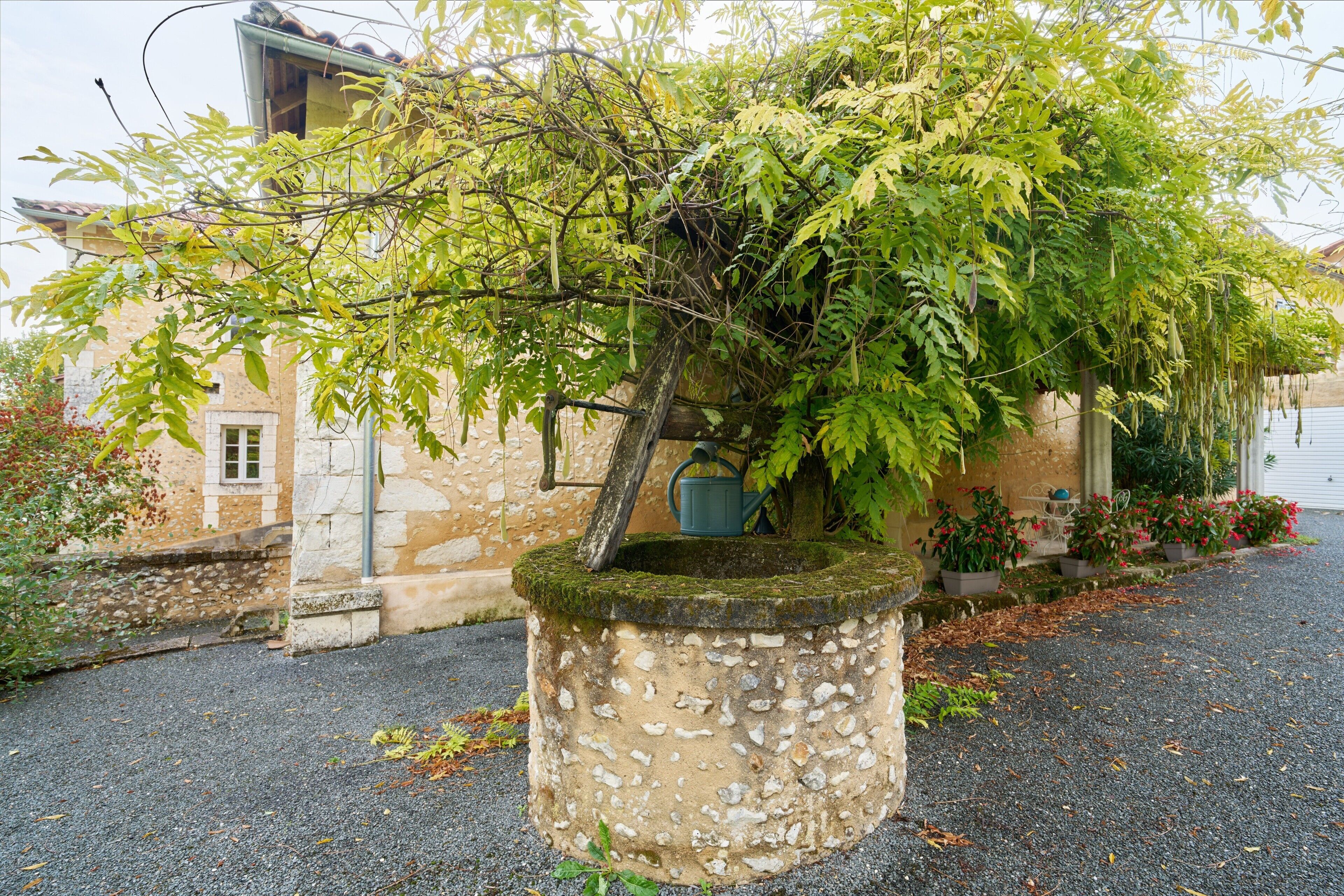Un bac à fleurs en pierre avec un arbre, un bâtiment à la façade en pierre et une allée gravillonnée.
