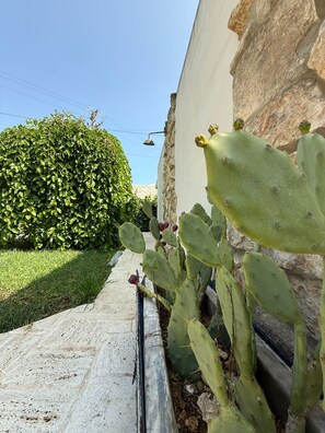 Exterior detail - Here, every detail is designed to make you feel at home. Amati Home (Floridia)