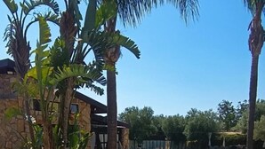 Una piscina envoltada de palmeres i un edifici de pedra.