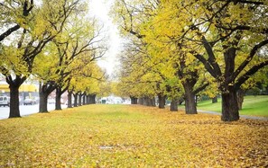 Apartment (1 Bedroom) | Interior - A Comfy & Cozy Apt in Clifton Hill, Free Parking (Melbourne)