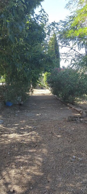 Overnattingsstedets uteområder