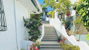 Un escalier menant à un bâtiment blanc, avec des plantes en pot et des fleurs disposées de part et d’autre.
