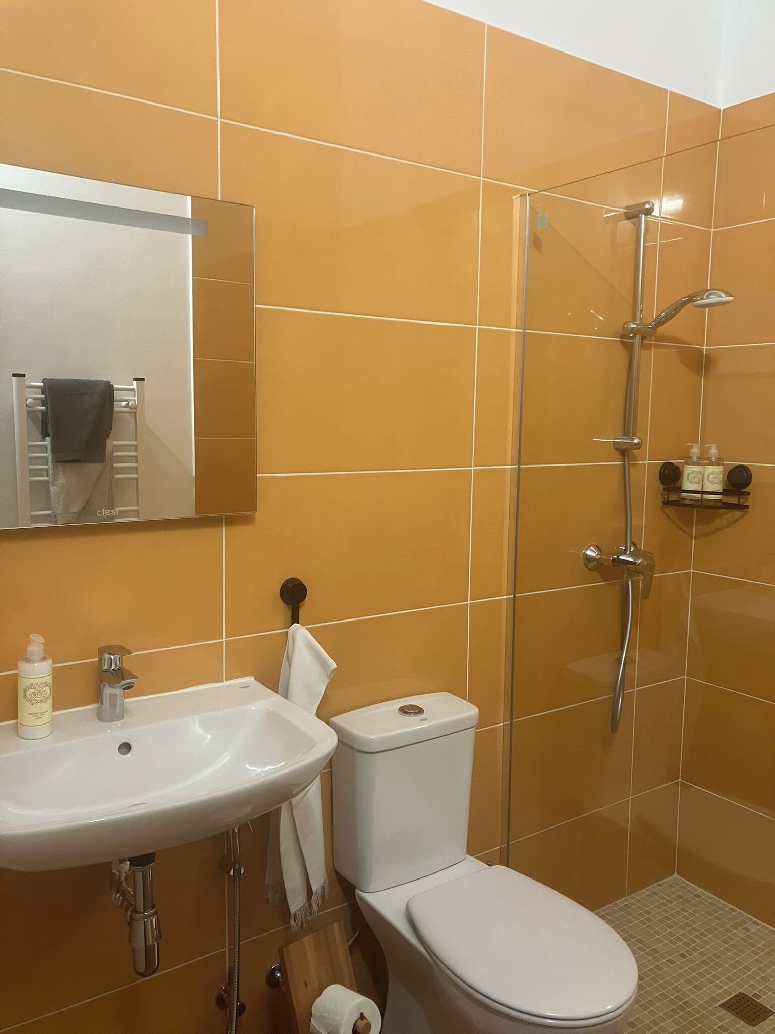 Dusche, Haartrockner, Handtücher, Seife