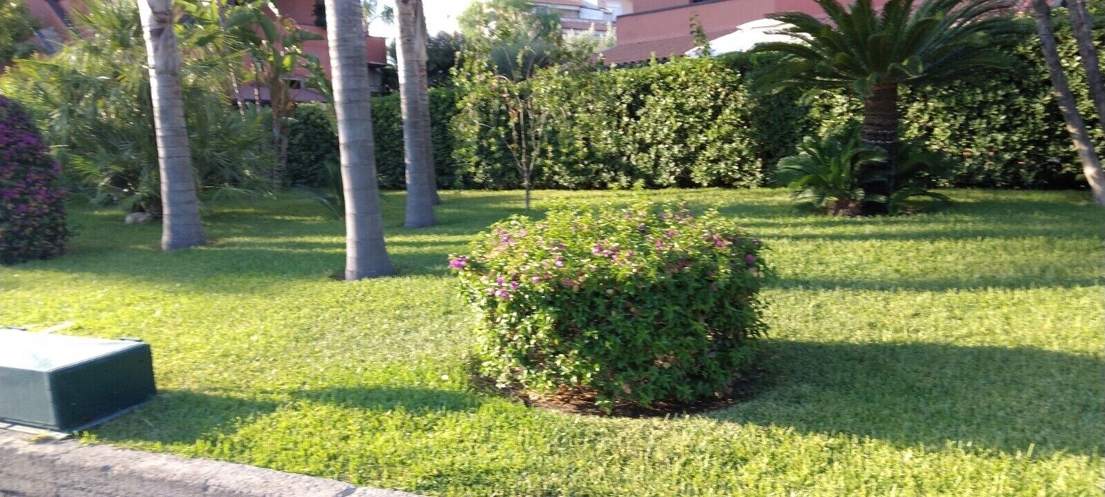 A well-maintained garden with a variety of plants and trees, a bench, and a building in the background.