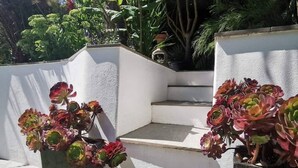 Un banco de hormigón con escalones, rodeado de macetas con follaje rojo y verde.