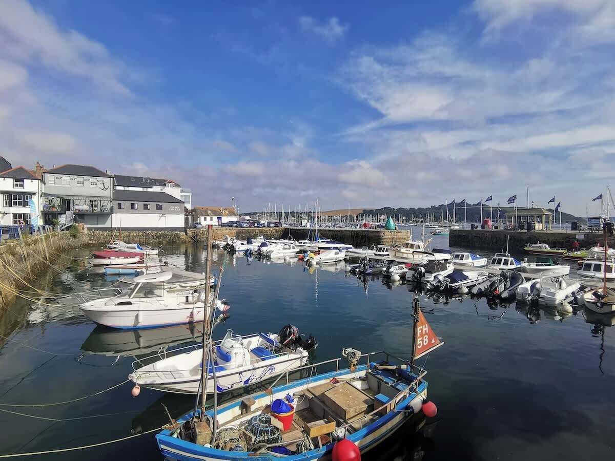 A marina with various boats docked, a clear sky, and buildings in the background.