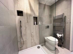 Regadera y secadora de cabello 