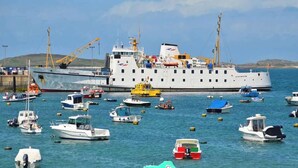 Un puerto con varios barcos, incluyendo un barco blanco grande y embarcaciones más pequeñas.