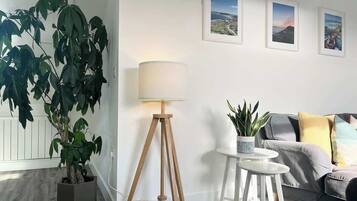 Televisio, kirjoja, työhuone