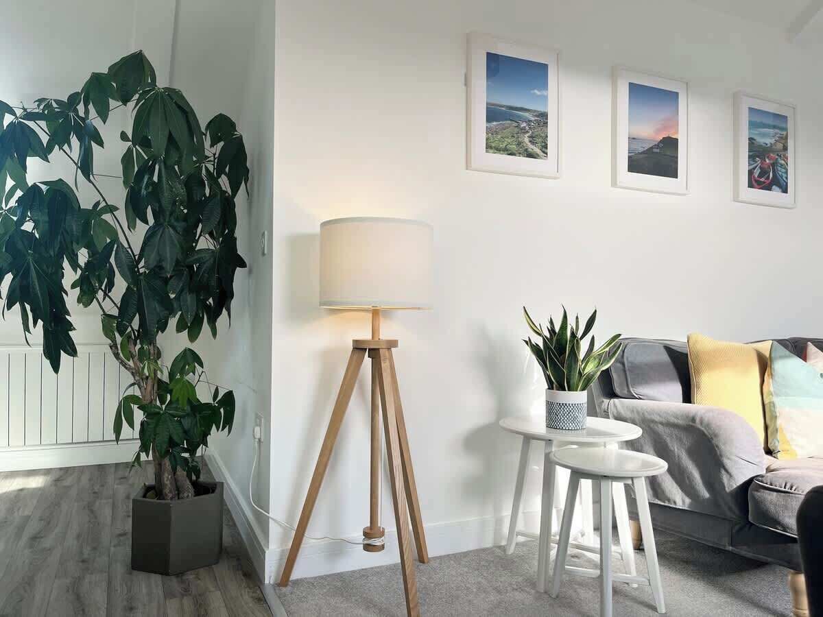 Televisio, kirjoja, työhuone