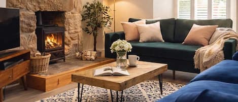 TV, fireplace, offices