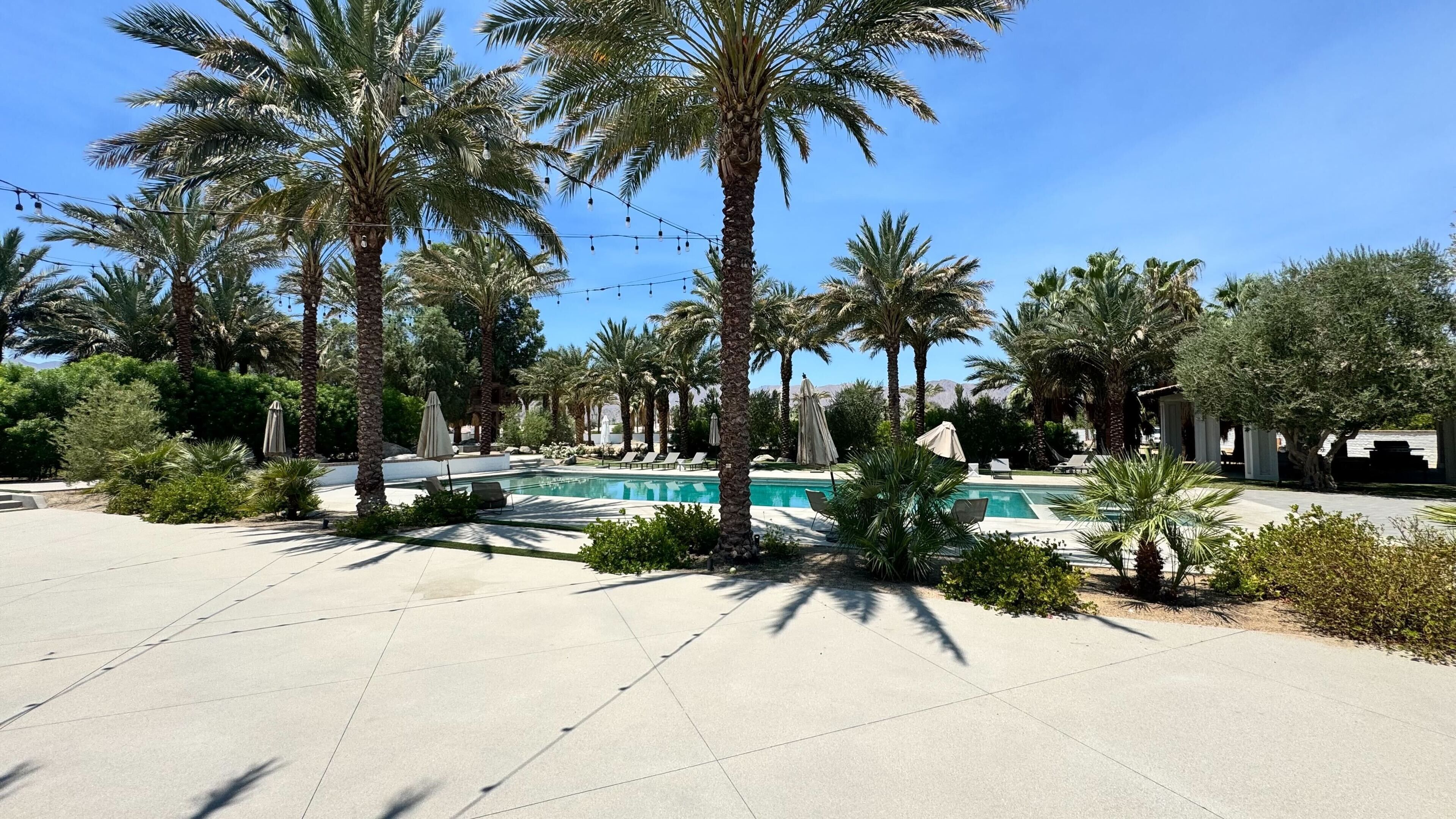 A pool area with palm trees, lounge chairs, and umbrellas.