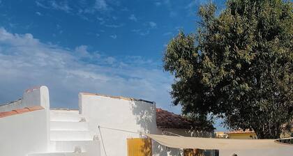 Typical Algarve cottage with tepee in garden Shaded by carob trees