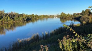 A calm lake surrounded by dense trees and a clear blue sky. - 1 bedroom apartment, centrally located and newly renovated (Moncton)