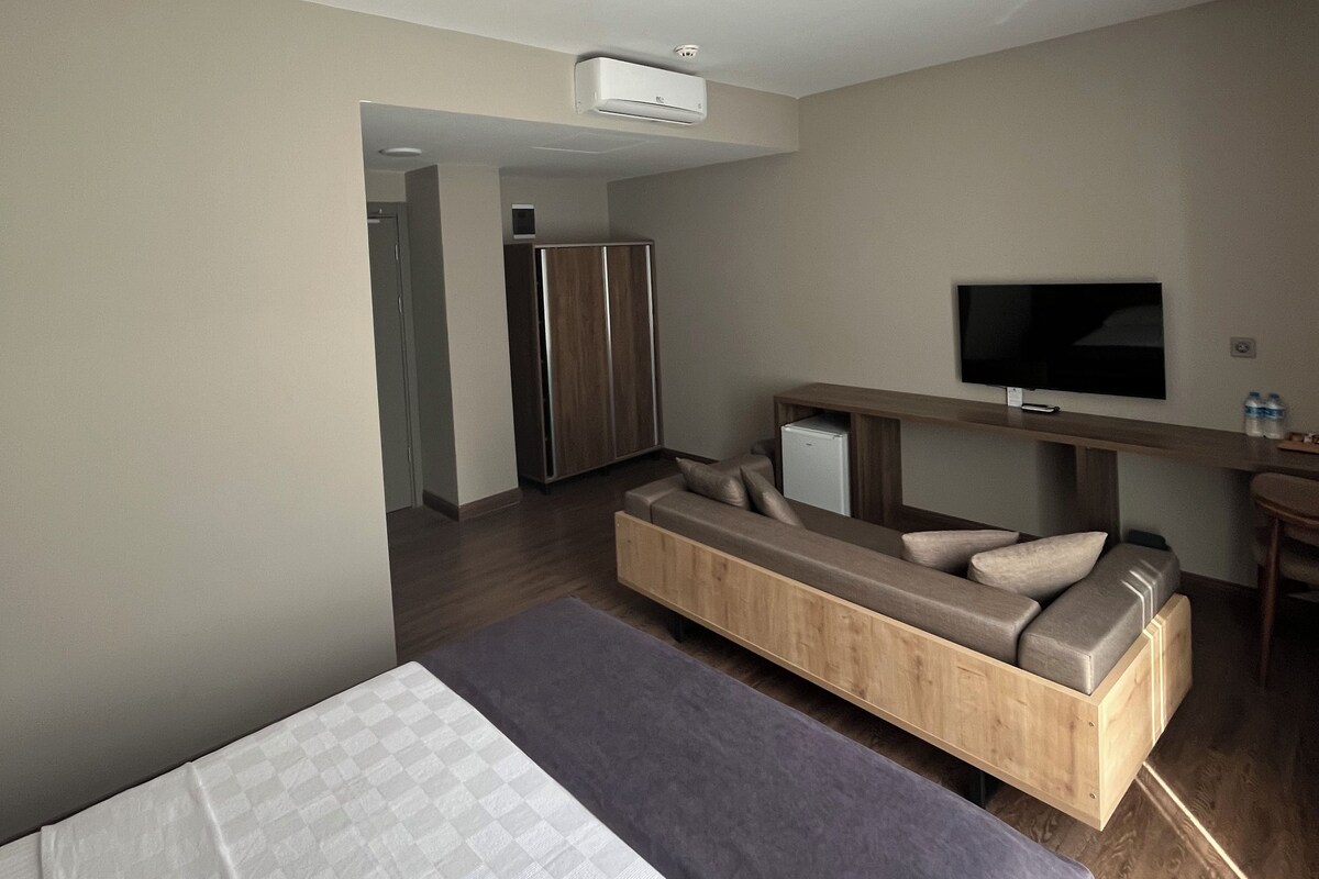 Une chambre d’hôtel équipée d’un lit, d’un canapé-lit, d’une télévision et d’une kitchenette.